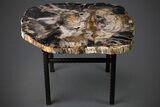 Awe-Inspiring, Oregon Petrified Wood (White Pine) Table #227319-3